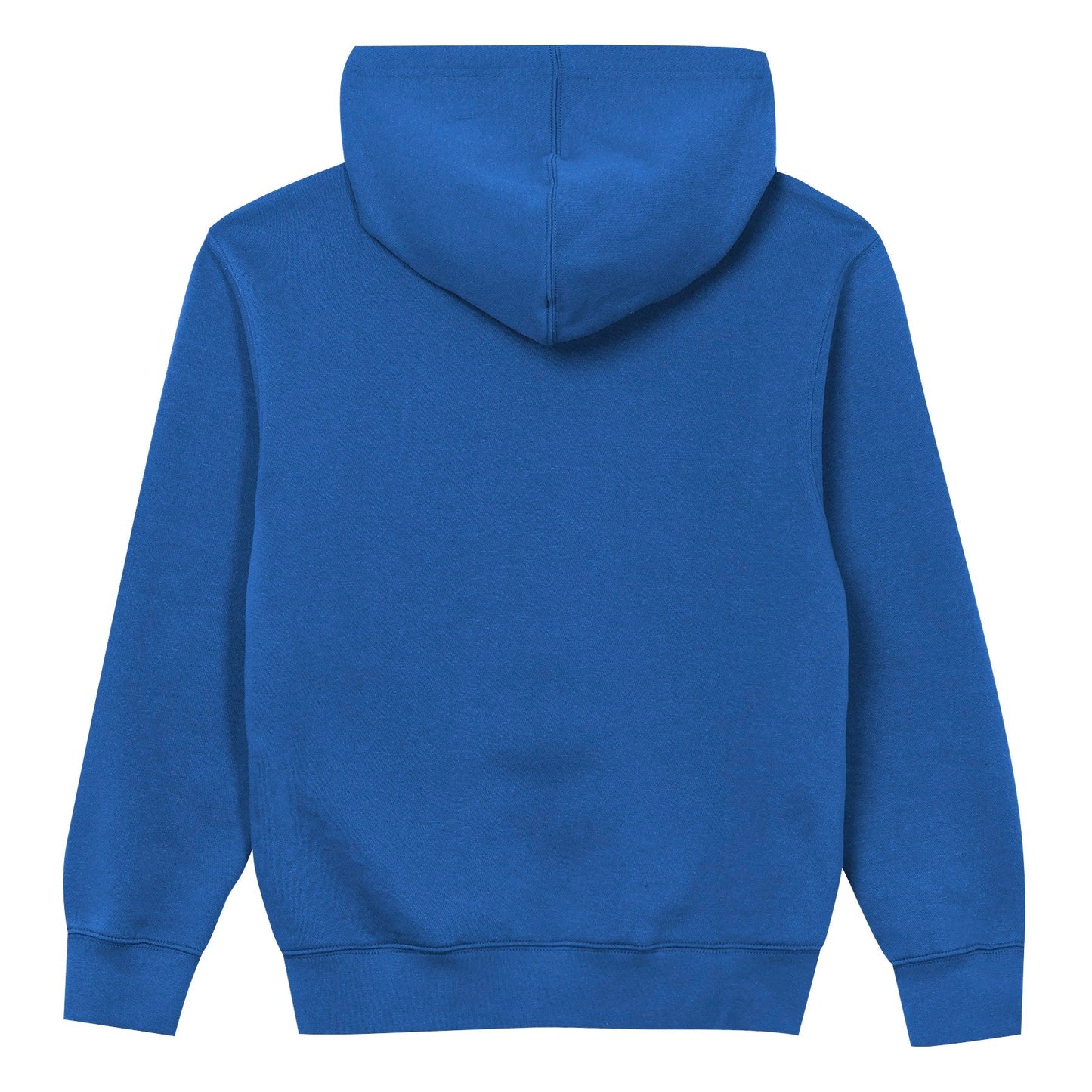 Detroit Lions Youth Back to Basics Blue Hoodie